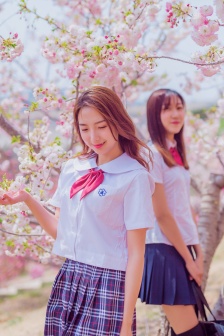 芳草地论坛